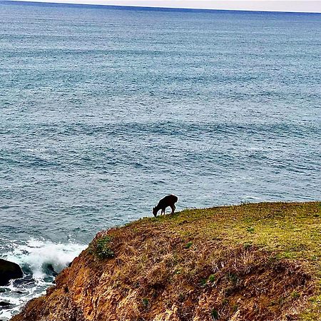 Inn Of The Lost Coast Shelter Cove Экстерьер фото