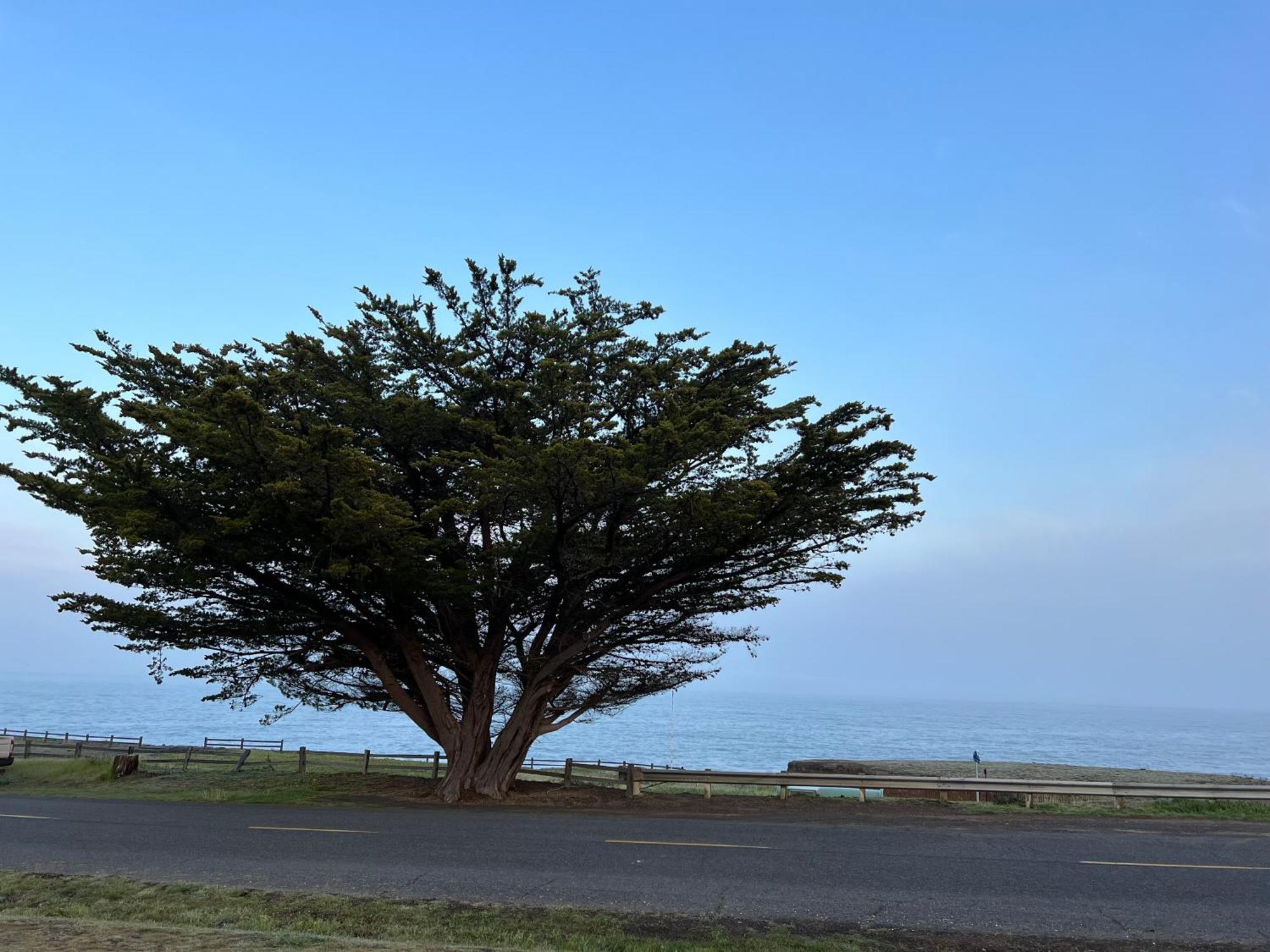 Inn Of The Lost Coast Shelter Cove Экстерьер фото